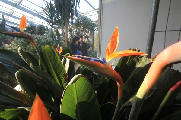 Fruehling   040.jpg